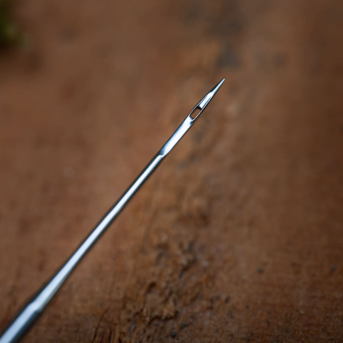 Maggot Needle