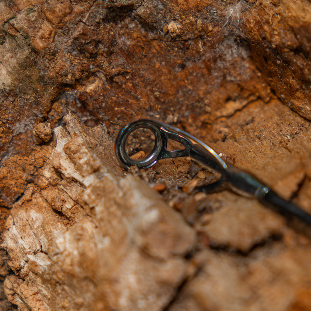 Royal Class Rod 10ft 2.75lb TC