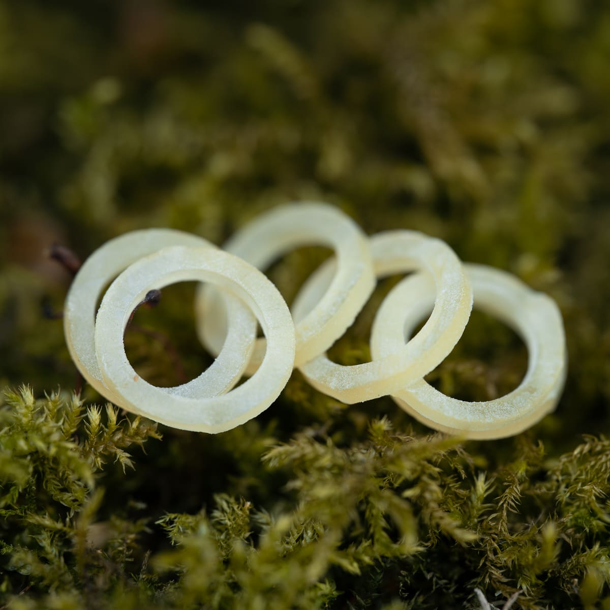 X-Strong Bait Bands (25pcs)