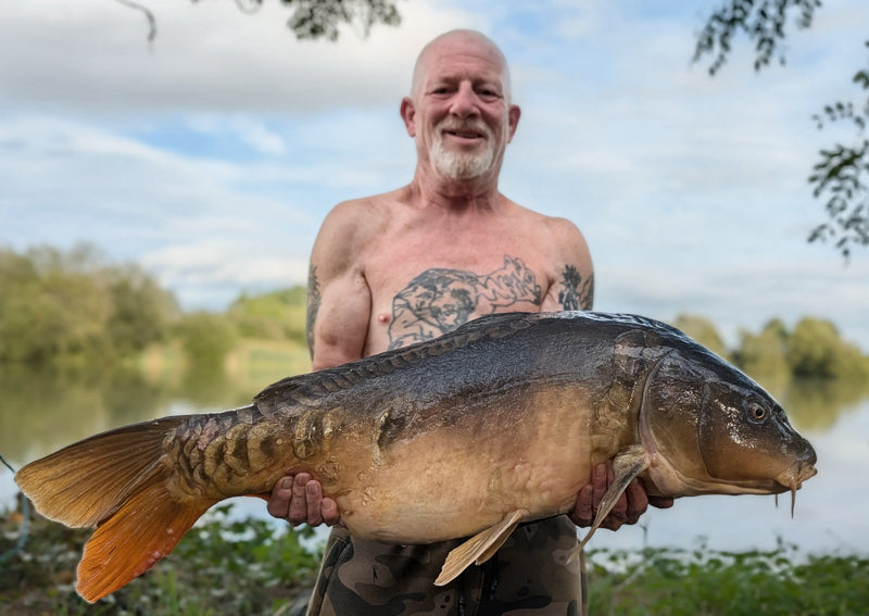 36lb 6oz Mirror caught by Stephen H. at Somerset